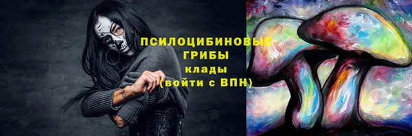 круглые Бородино