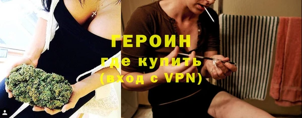 шишки Верея