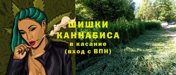 круглые Бородино