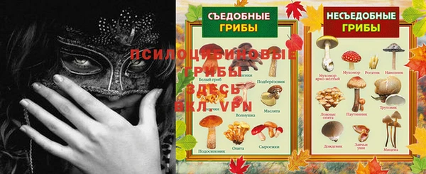 молекула духа Верхний Тагил