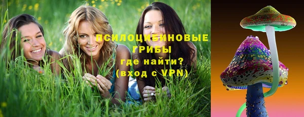 круглые Бородино