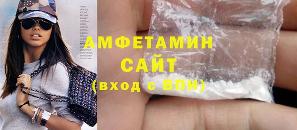 шишки Верея