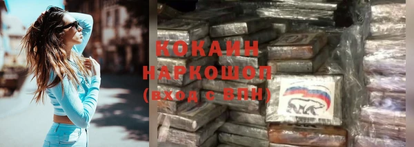 шишки Верея