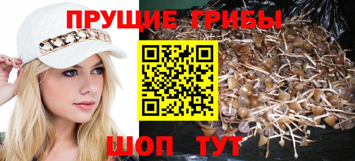 Маркс  Псилоцибиновые грибы GOLDEN TEACHER  Псилоцибиновые грибы мицелий  Вход с VPN 
