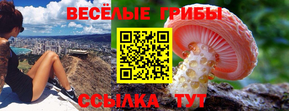 Галлюциногенные грибы прущие грибы Маркс